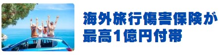 海外旅行傷害保険が最高1億円